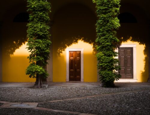 Con un libro alla scoperta delle case di Milano